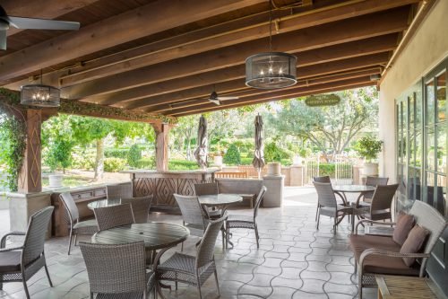 Photo-7-500x333